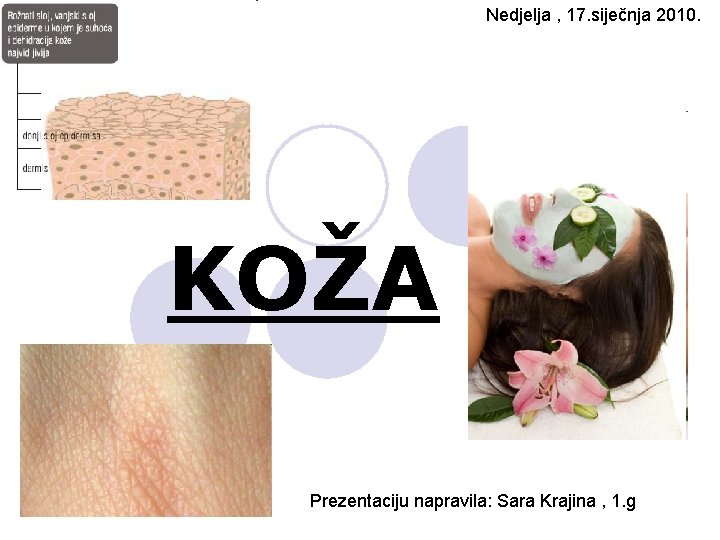 Nedjelja , 17. siječnja 2010. KOŽA Prezentaciju napravila: Sara Krajina , 1. g 