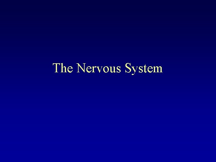 The Nervous System 