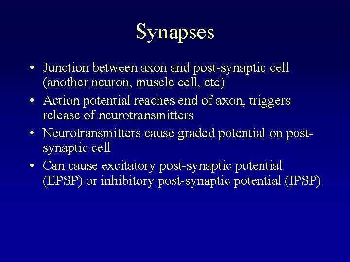 Synapses • Junction between axon and post-synaptic cell (another neuron, muscle cell, etc) •