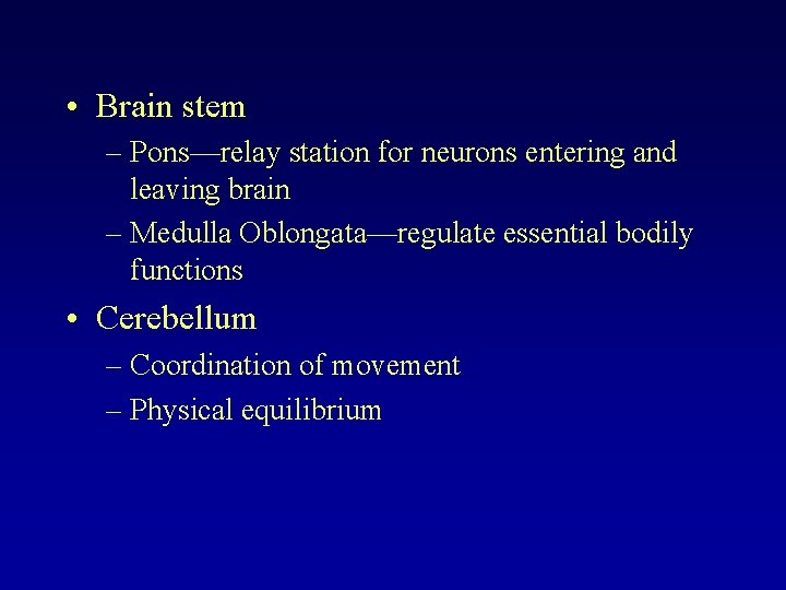  • Brain stem – Pons—relay station for neurons entering and leaving brain –