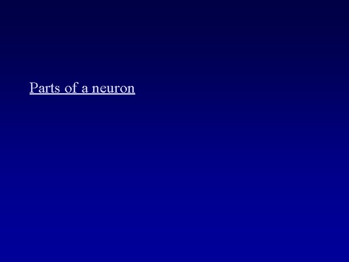 Parts of a neuron 