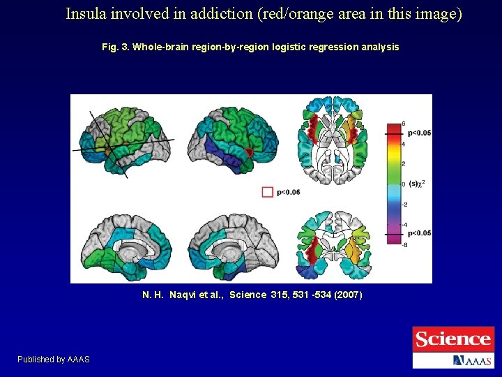 Insula involved in addiction (red/orange area in this image) Fig. 3. Whole-brain region-by-region logistic