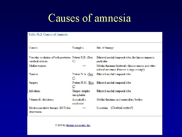 Causes of amnesia (Cerebral cortex? ) 