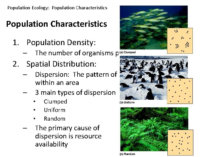 Population Ecology: Population Characteristics 1. Population Density: – The number of organisms per unit