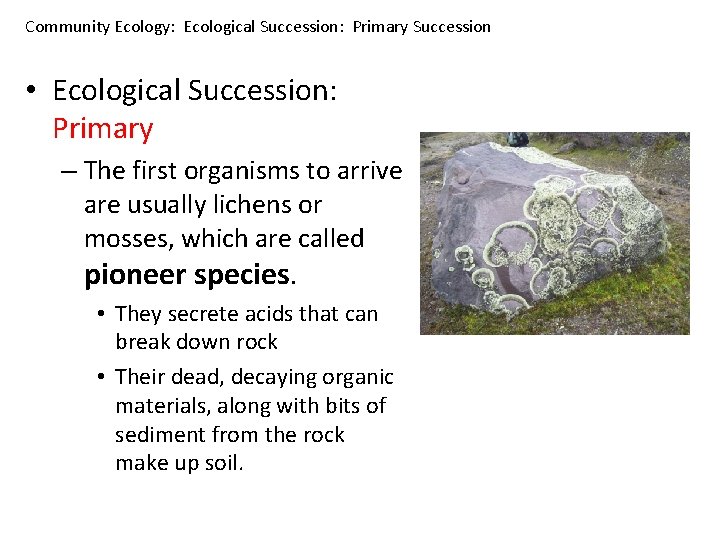 Community Ecology: Ecological Succession: Primary Succession • Ecological Succession: Primary – The first organisms