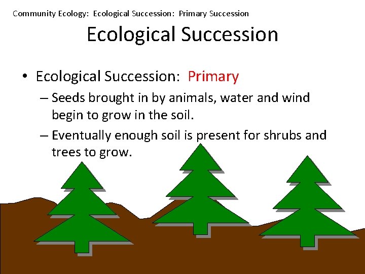 Community Ecology: Ecological Succession: Primary Succession Ecological Succession • Ecological Succession: Primary – Seeds