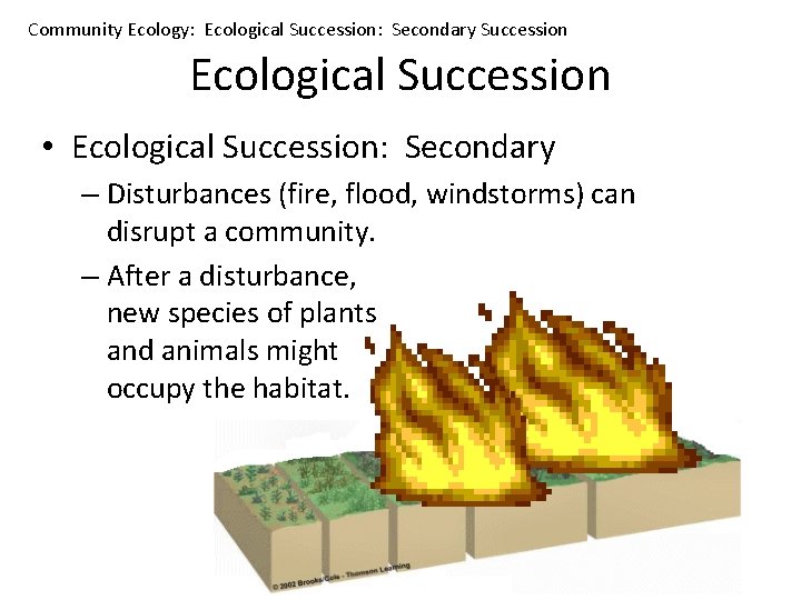 Community Ecology: Ecological Succession: Secondary Succession Ecological Succession • Ecological Succession: Secondary – Disturbances