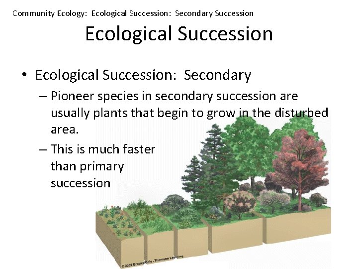 Community Ecology: Ecological Succession: Secondary Succession Ecological Succession • Ecological Succession: Secondary – Pioneer
