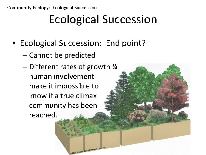 Community Ecology: Ecological Succession • Ecological Succession: End point? – Cannot be predicted –