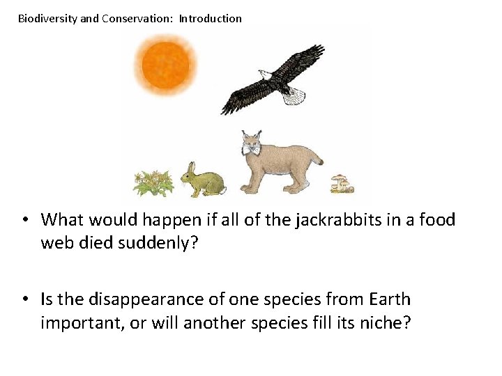 Biodiversity and Conservation: Introduction • What would happen if all of the jackrabbits in