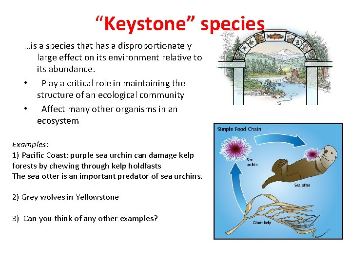 “Keystone” species …is a species that has a disproportionately large effect on its environment