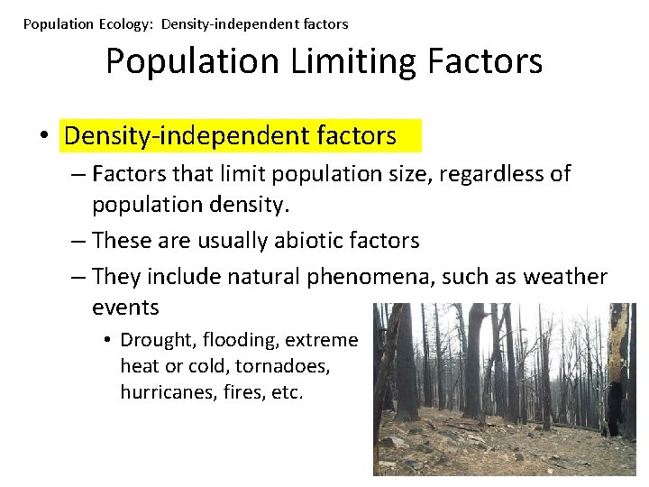 Population Ecology: Density-independent factors Population Limiting Factors • Density-independent factors – Factors that limit