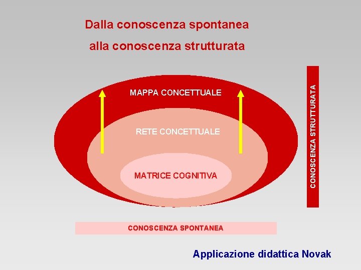 Dalla conoscenza spontanea MAPPA CONCETTUALE RETE CONCETTUALE MATRICE COGNITIVA CONOSCENZA STRUTTURATA alla conoscenza strutturata