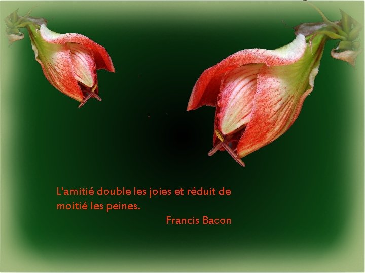 L'amitié double les joies et réduit de moitié les peines. Francis Bacon 