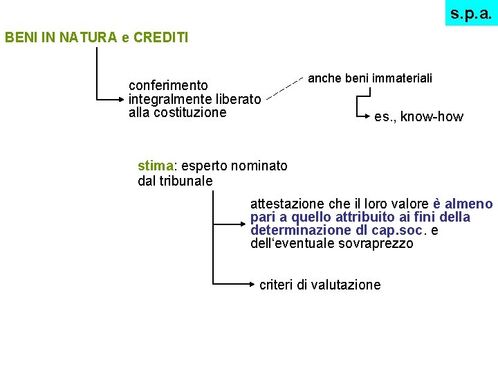 s. p. a. BENI IN NATURA e CREDITI conferimento integralmente liberato alla costituzione anche