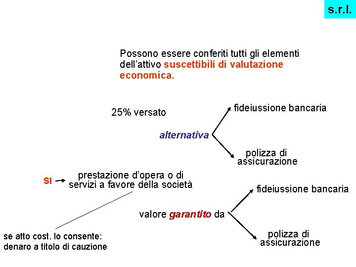 s. r. l. Possono essere conferiti tutti gli elementi dell’attivo suscettibili di valutazione economica.