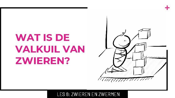 WAT IS DE VALKUIL VAN ZWIEREN? LES 8: ZWIEREN EN ZWERMEN 