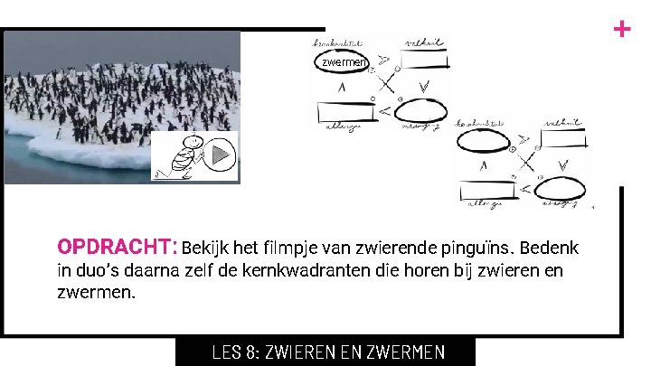 zwermen OPDRACHT: Bekijk het filmpje van zwierende pinguïns. Bedenk in duo’s daarna zelf de