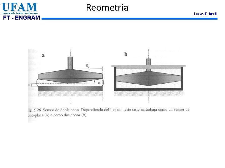 UFAM Universidade Federal do Amazonas FT - ENGRAM Reometria Lucas F. Berti 