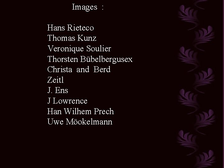 Images : Hans Rieteco Thomas Kunz Veronique Soulier Thorsten Bübelbergusex Christa and Berd Zeitl Images : Hans Rieteco Thomas Kunz Veronique Soulier Thorsten Bübelbergusex Christa and Berd Zeitl