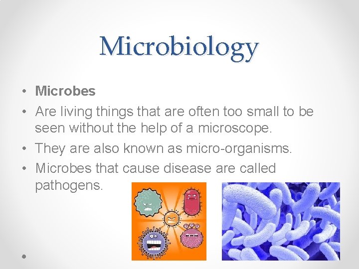Microbiology • Microbes • Are living things that are often too small to be