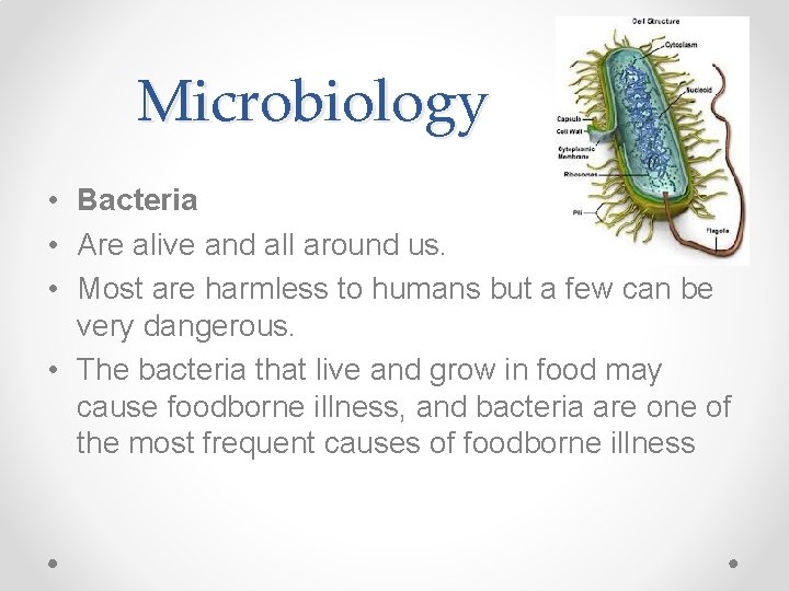 Microbiology • Bacteria • Are alive and all around us. • Most are harmless