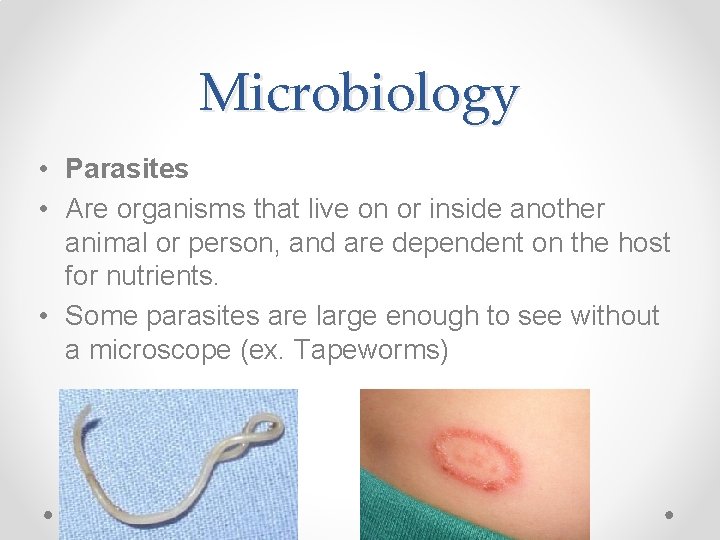 Microbiology • Parasites • Are organisms that live on or inside another animal or