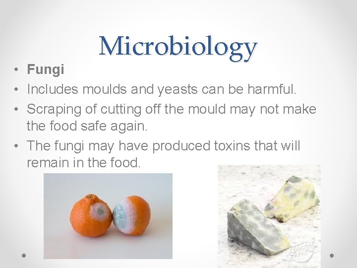 Microbiology • Fungi • Includes moulds and yeasts can be harmful. • Scraping of