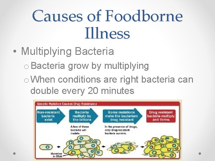 Causes of Foodborne Illness • Multiplying Bacteria o Bacteria grow by multiplying o When