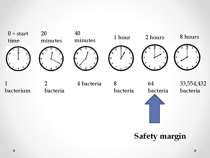 0 = start time 1 bacterium 20 minutes 2 bacteria 40 minutes 4 bacteria