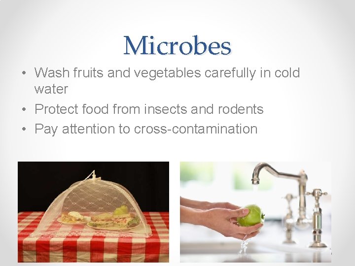 Microbes • Wash fruits and vegetables carefully in cold water • Protect food from