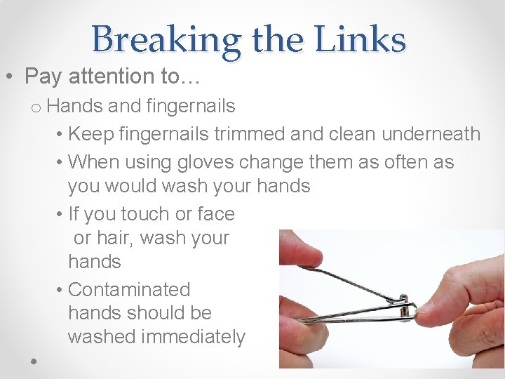 Breaking the Links • Pay attention to… o Hands and fingernails • Keep fingernails