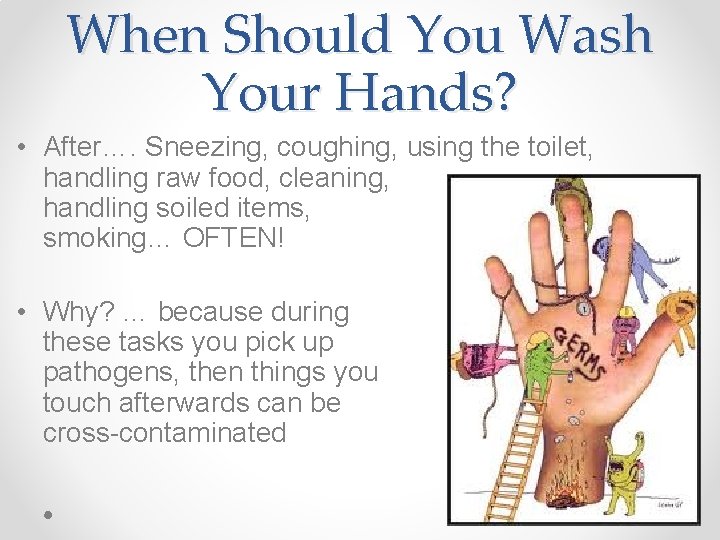 When Should You Wash Your Hands? • After…. Sneezing, coughing, using the toilet, handling