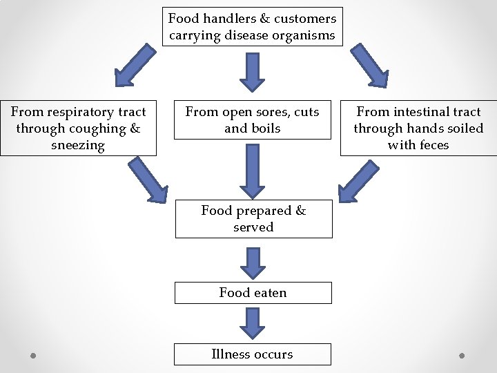 Food handlers & customers carrying disease organisms From respiratory tract through coughing & sneezing