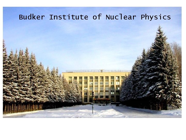 Budker Institute of Nuclear Physics 