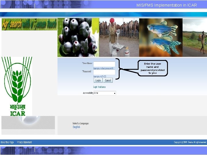 MIS/FMS Implementation in ICAR 1. Logging into Oracle Application Enter the user name and MIS/FMS Implementation in ICAR 1. Logging into Oracle Application Enter the user name and