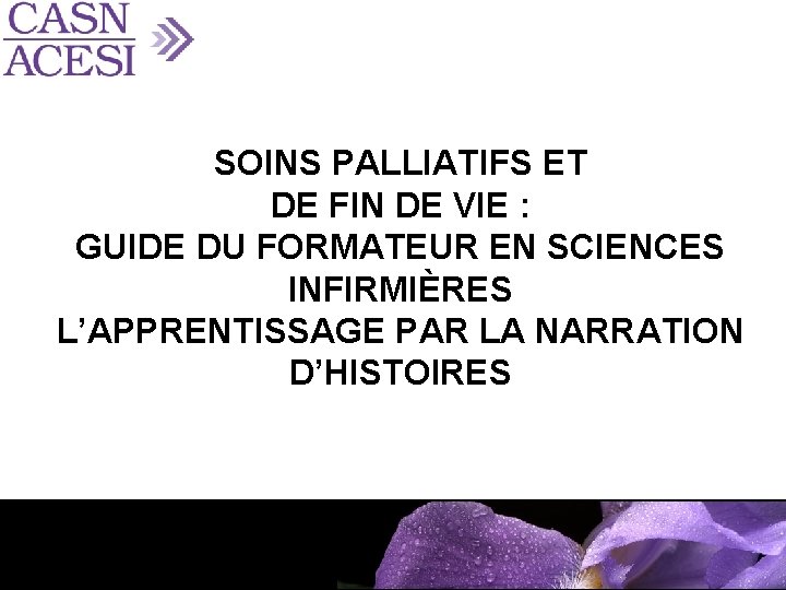 SOINS PALLIATIFS ET DE FIN DE VIE : GUIDE DU FORMATEUR EN SCIENCES INFIRMIÈRES