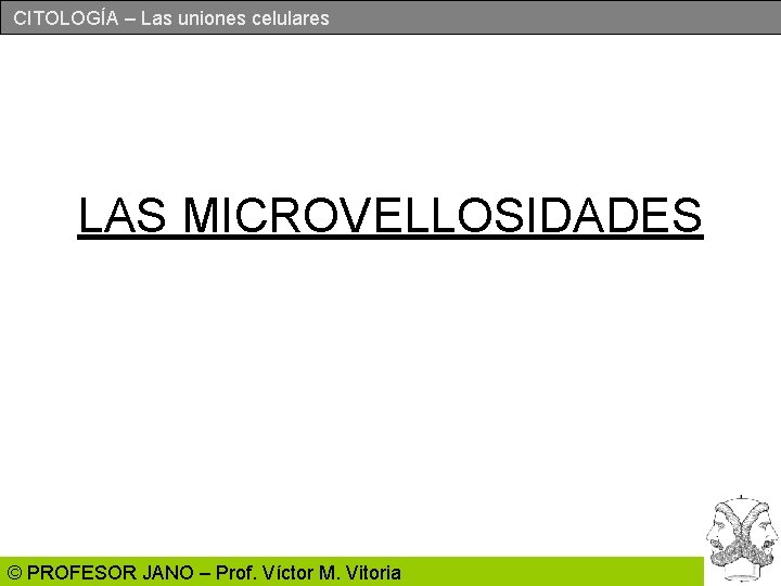 CITOLOGÍA – Las uniones celulares LAS MICROVELLOSIDADES © PROFESOR JANO – Prof. Víctor M.