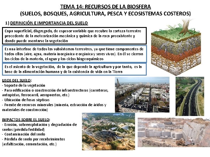 TEMA 14: RECURSOS DE LA BIOSFERA (SUELOS, BOSQUES, AGRICULTURA, PESCA Y ECOSISTEMAS COSTEROS) 1)