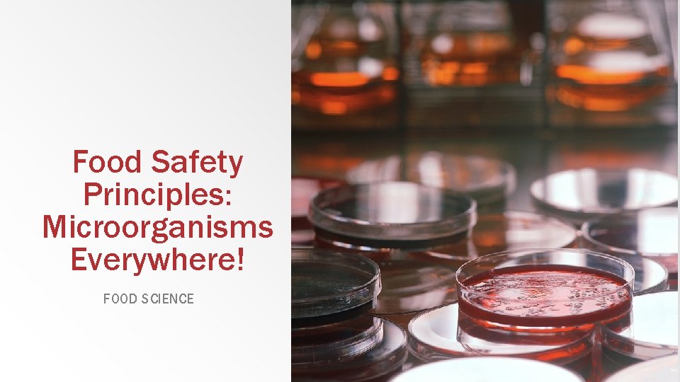 Food Safety Principles: Microorganisms Everywhere! FOOD SCIENCE 