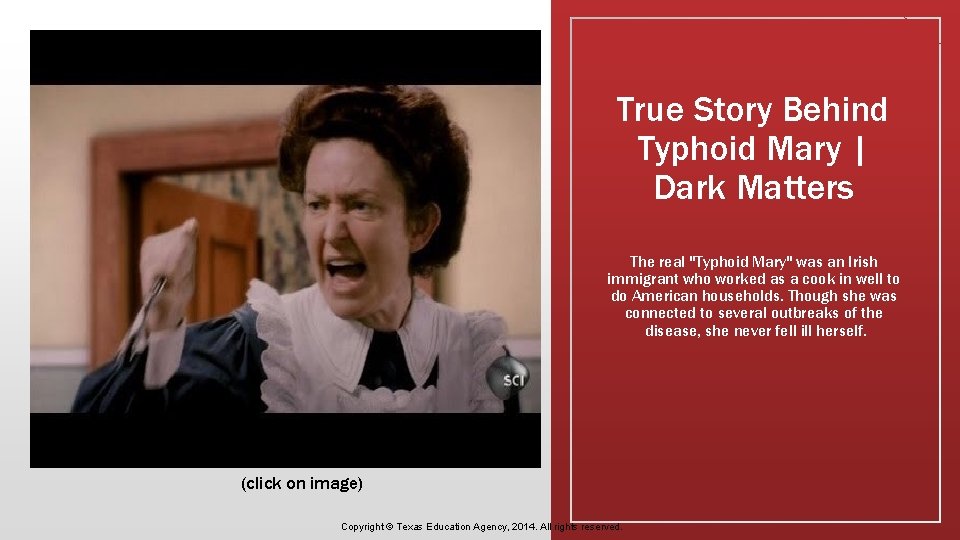 True Story Behind Typhoid Mary | Dark Matters The real "Typhoid Mary" was an