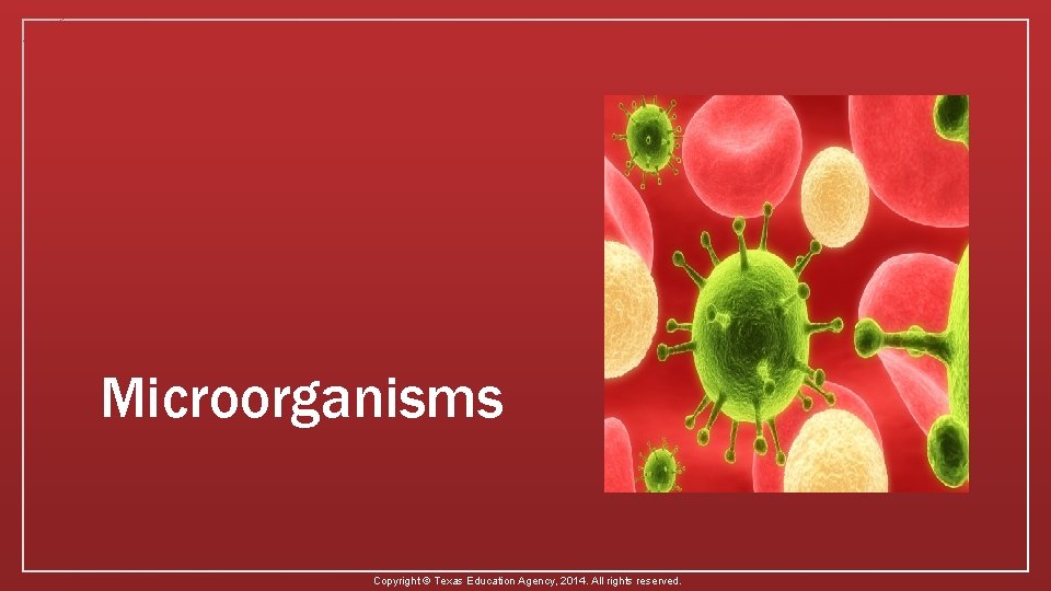 Microorganisms Copyright © Texas Education Agency, 2014. All rights reserved. 