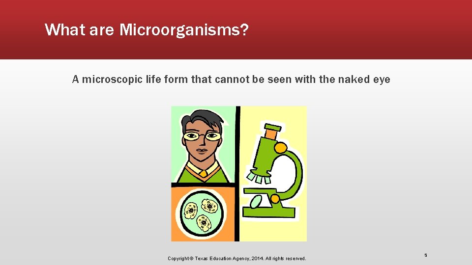 What are Microorganisms? A microscopic life form that cannot be seen with the naked