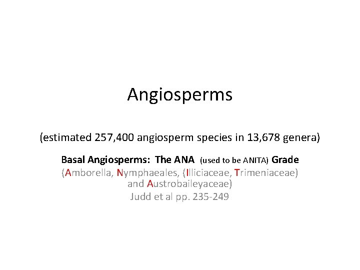 Angiosperms (estimated 257, 400 angiosperm species in 13, 678 genera) Basal Angiosperms: The ANA