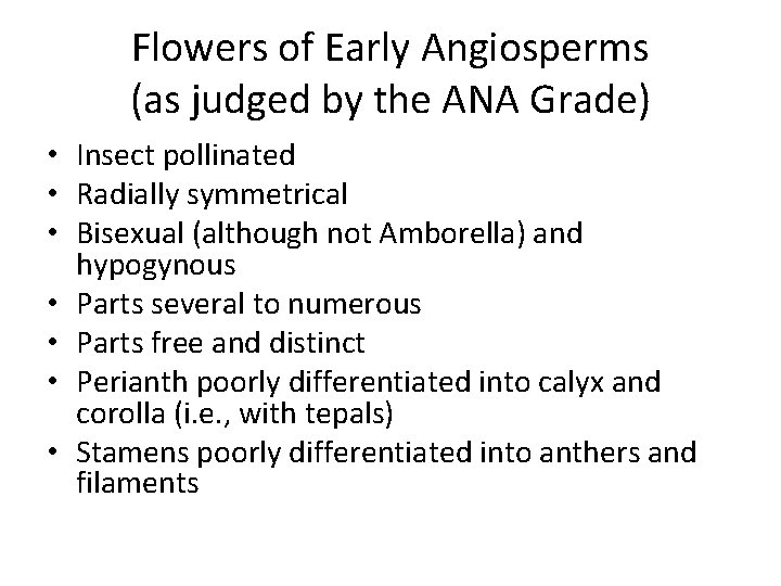 Flowers of Early Angiosperms (as judged by the ANA Grade) • Insect pollinated •