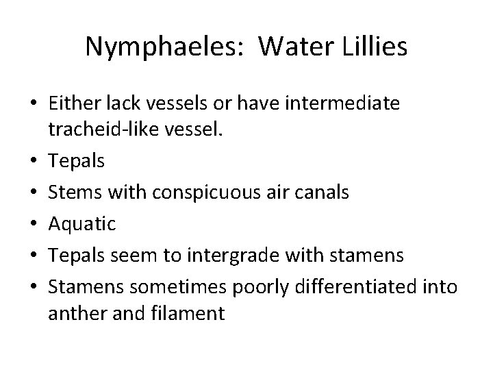 Nymphaeles: Water Lillies • Either lack vessels or have intermediate tracheid-like vessel. • Tepals