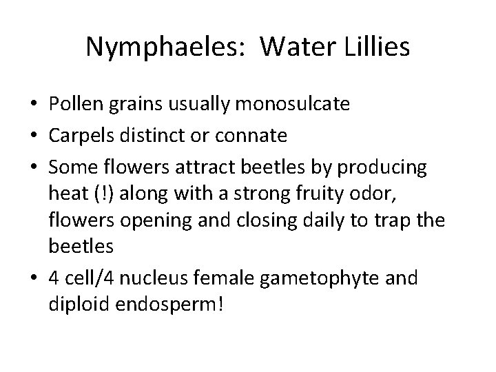 Nymphaeles: Water Lillies • Pollen grains usually monosulcate • Carpels distinct or connate •