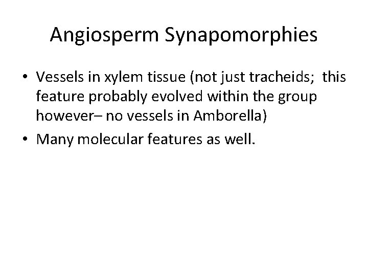 Angiosperm Synapomorphies • Vessels in xylem tissue (not just tracheids; this feature probably evolved