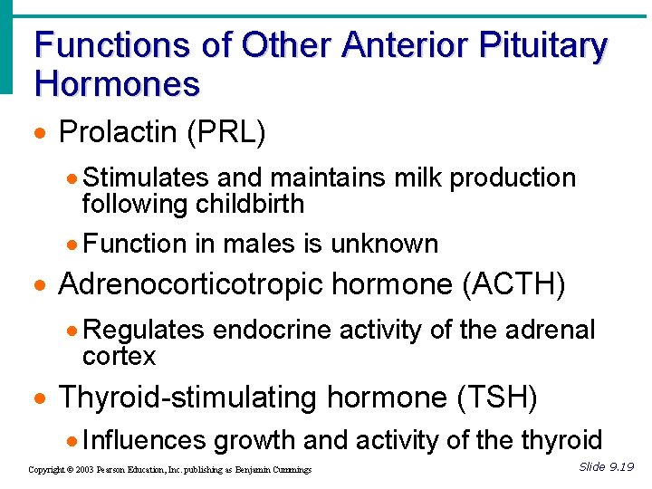 Functions of Other Anterior Pituitary Hormones · Prolactin (PRL) · Stimulates and maintains milk