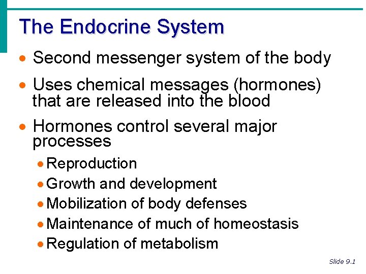 The Endocrine System · Second messenger system of the body · Uses chemical messages